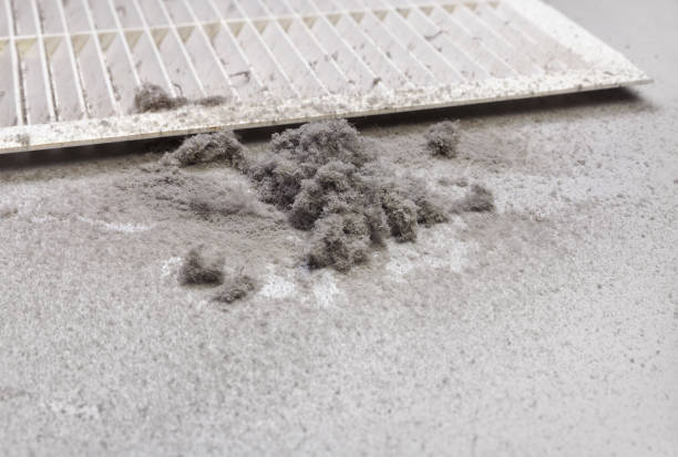 Best Ventilation Cleaning Services  in Martin, TN